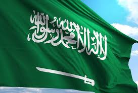 القطاع الأمني و العسكري